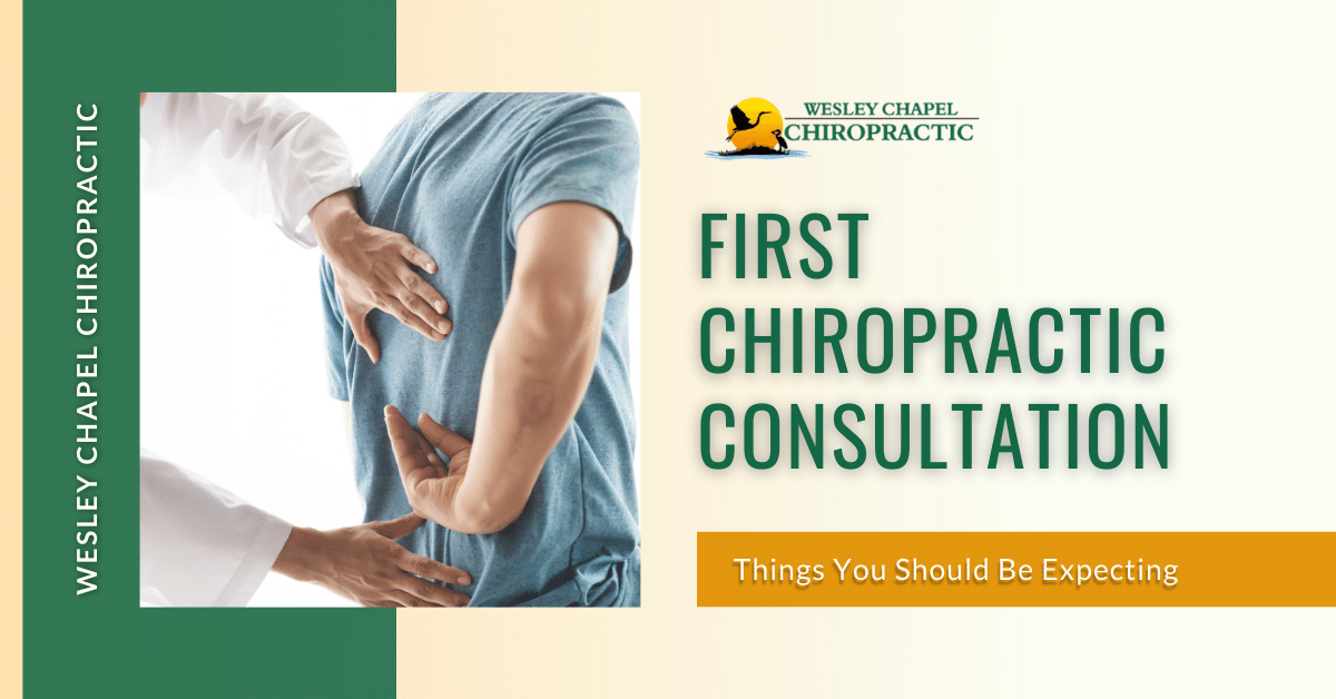 Chiropractic Consultation